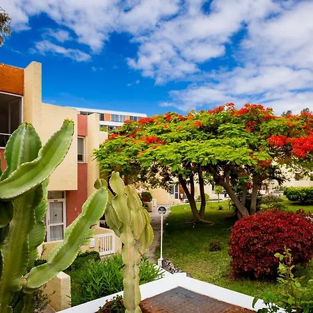 Costa Adeje Cortijo 1-8 Lejlighed Playa de las Américas